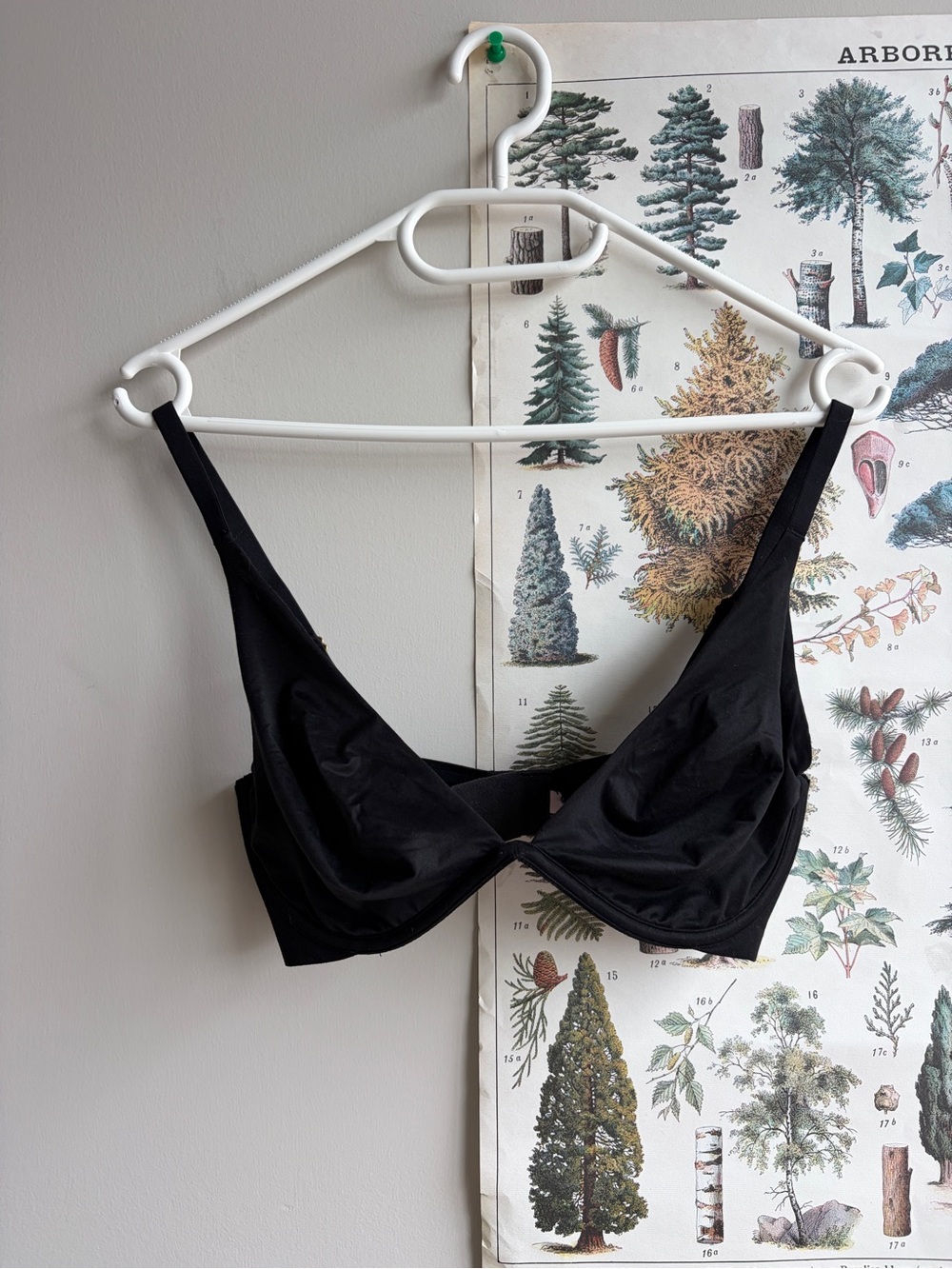 Victoria’s Secret Black Women's Underwire Bralette Unlined 32D